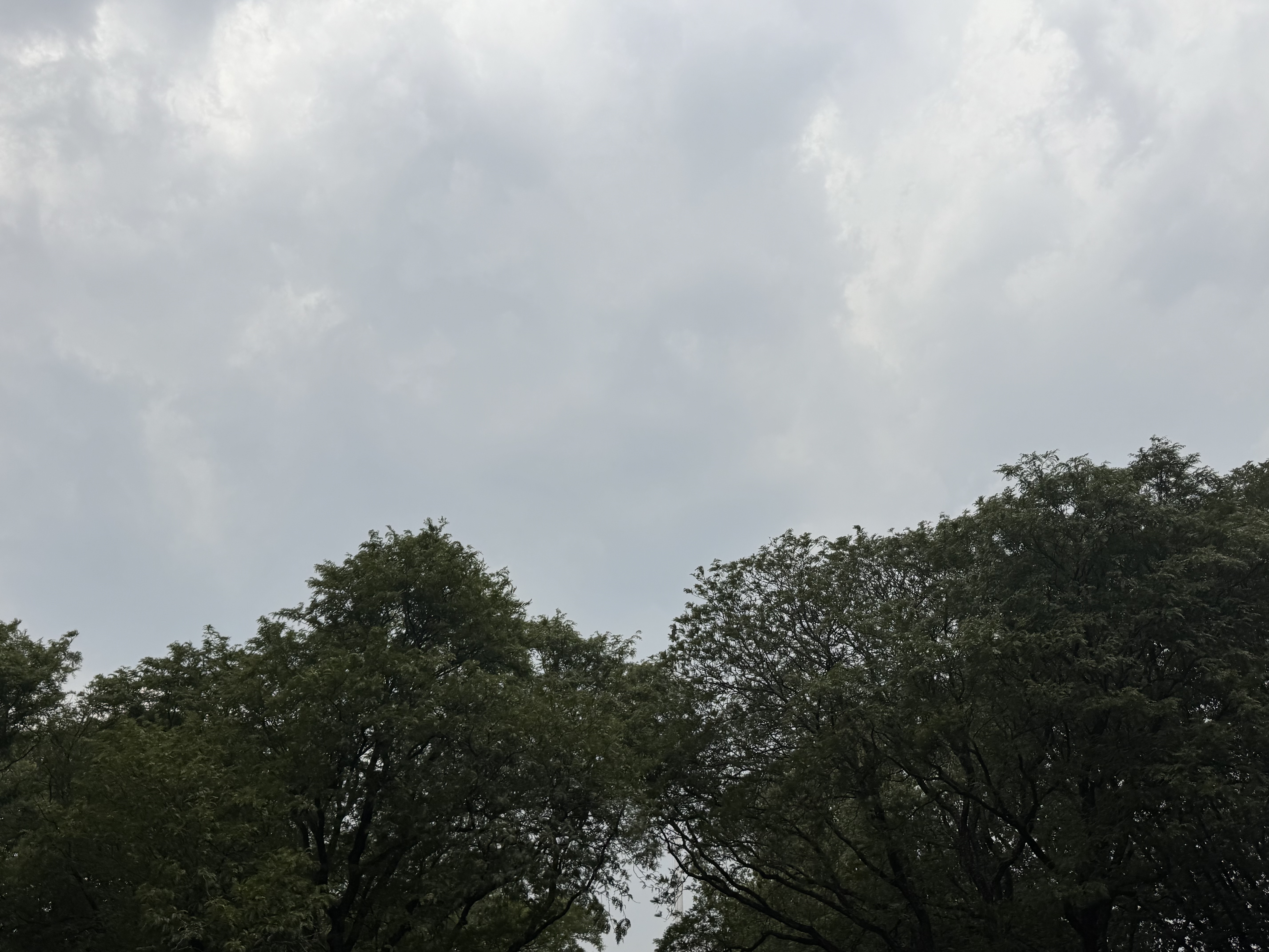 Humo de incendios en Canadá deteriorará la calidad del aire en Nueva York - Image 3